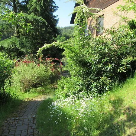 Hammergrund Apartman Mossautal